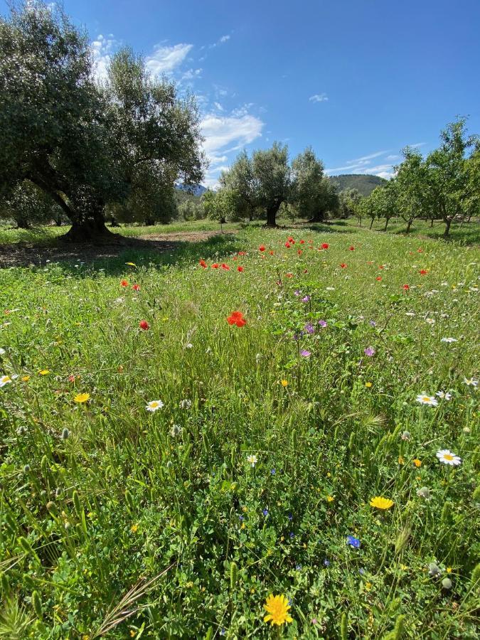 Rasquera Wonderful Comfortable Finca In The Burga Valley מראה חיצוני תמונה